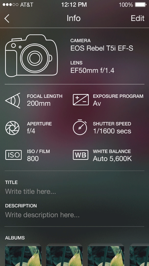 flickr_iphone_edit_info1